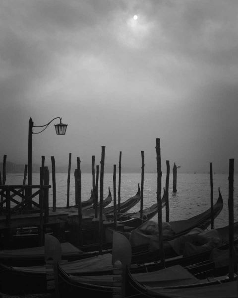 Europe, Italy, Venice Moored gondolas and fog